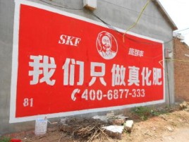 岳阳刷墙广告”蕴含了时代命题