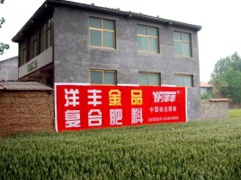 岳阳如何让墙体广告展现最大化效果