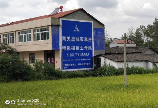 岳阳决定墙体广告价格的因素有哪些?