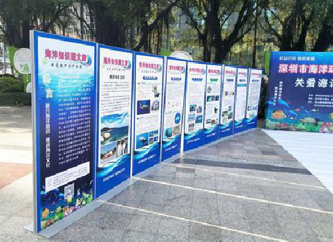 岳阳KT板的种类和知识。